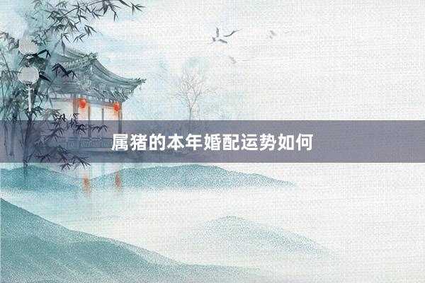 属猪的本年婚配运势如何